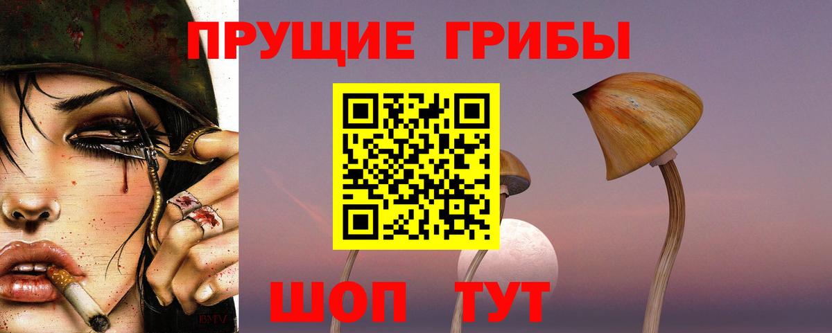 Сосновоборск  Псилоцибиновые грибы мухоморы  Галлюциногенные грибы Magic Shrooms  Вход с VPN 